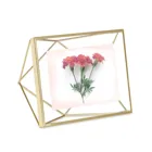 313016-221 - Prisma - Picture Frame, 10x15, matte brass