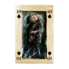 WIN30645 - Playing Cards - Harry Potter , Spielkarten, 2+ Spieler, ab 6 Jahren (DE-Ausgabe)