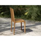 3980165 - molly collection - Chair Molly natural