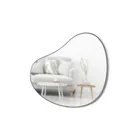 1018529-378 - HUBBA Pebble organically shaped decorative mirror, titanium