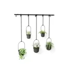 1018086-040 - TRIFLORA Large Hanging Flowerpot Set of 5, black