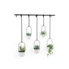 1018086-660 - TRIFLORA Large Hanging Flowerpot Set of 5, white