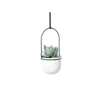 1018086-660 - TRIFLORA Large Hanging Flowerpot Set of 5, white