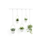 1018086-524 - TRIFLORA Large Hanging Flowerpot Set of 5, white/brass