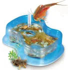 59259 - Original Triops Starter-Set Experimentierkasten, ab 8 Jahren (DE-Ausgabe)