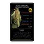 Top Trumps Harry Potter Heroes of Hogwarts Collectables, ab 2 Spieler (DE)