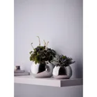 Bella Vase S