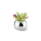 Bella Vase S