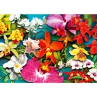 ENJOY-2033 - Orchid Jungle, Puzzle, 1000 Teile