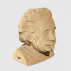 CARTMALB - Albert Einstein - 3D Puzzle