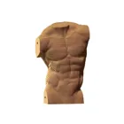 Male torso