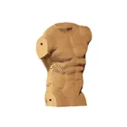 Male torso