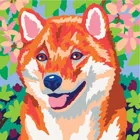 Colorizzy Roter Panda und Shiba