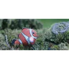 650037 - 3D clownfish craft set (MQ6)