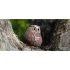 650044 - 3D craft set owl (MQ6)