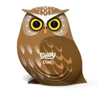 650044 - 3D craft set owl (MQ6)