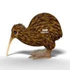 650091 - 3D craft kit brown kiwi (MQ6)