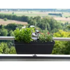 1625 - Coco for planters and balcony boxes