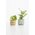 POR677 - ORANGE AQUARELL flower pot