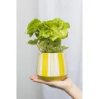 POR679 - LIME AQUARELL flower pot