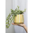 POR680 - CREAM AQUARELL flower pot