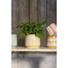 POR680 - Blumentopf CREAM AQUARELL