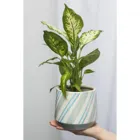 POR681 - BLUE AQUARELL flower pot