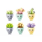 M38-B1076 - Mini Blumen im Topf im Thekendisplay (VE 6)