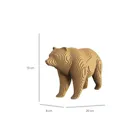 Grizzly Bear