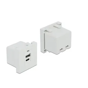Delock - 81313 - Easy 45 USB Ladeportmodul 1 x USB Typ-A + 1 x USB Type-C™