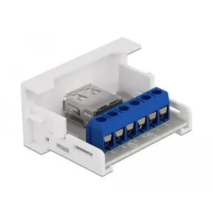 Delock - 81343 - Easy 45 Modul USB 2.0 Typ-A Buchse zu Terminalblock 22,5 x 45 mm