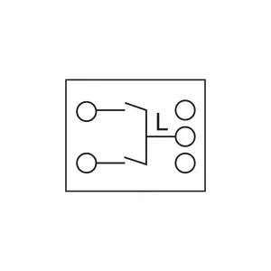 Delock - 81363 - Easy 45 Wippschalter 2fach 45 x 45 mm, weiß