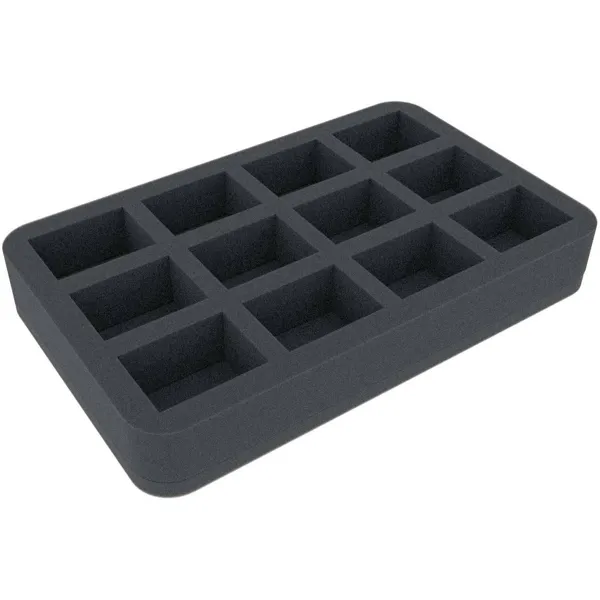 Feldherr - HS040A016 - Schaumstoffeinlage für Dungeons and Dragons - 12 Miniaturen