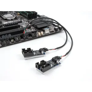 Delock - 84513 - Delock cable USB 2.0 female connector 2.54 mm 10 pin to 2 x USB 2.0 female connector 2